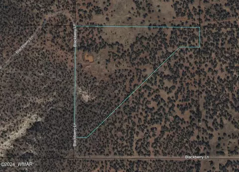 tbd Blackberry Ln, Show Low, AZ 85901