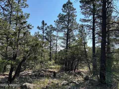 4 N 3305, Vernon, AZ 85940