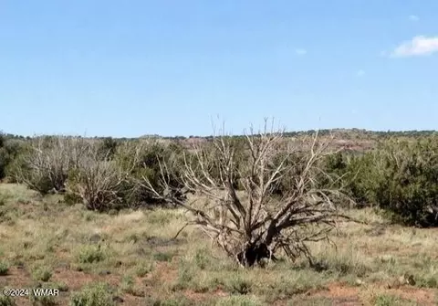 tbd 201-35-008b, Concho, AZ 85924