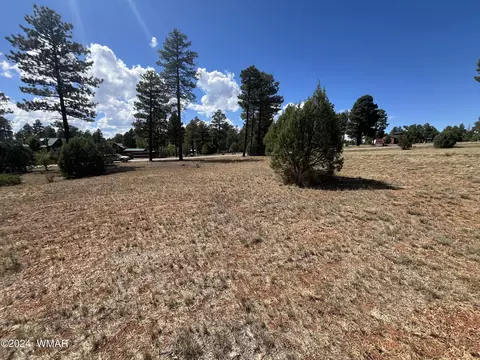 2741 Skyhawk Dr, Overgaard, AZ 85933