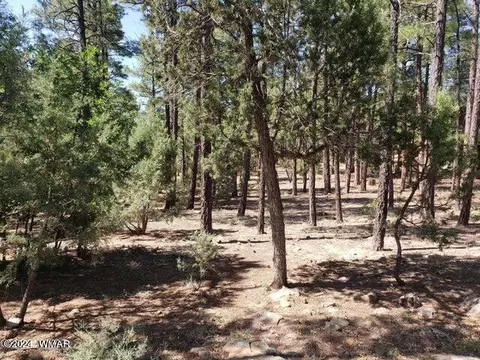 4200 W Acer Ln, Show Low, AZ 85901