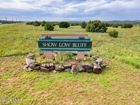 1100 S Lorenzo Sitgreaves Dr, Show Low, AZ 85901