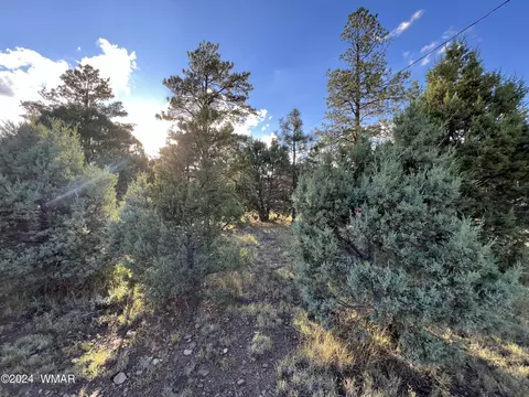 5 Crd 2028, Nutrioso, AZ 85932