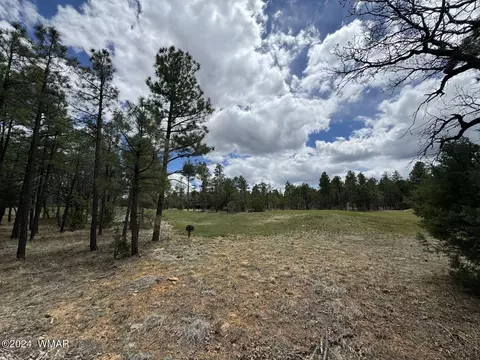 3891 W Hawthorn Rd, Show Low, AZ 85901