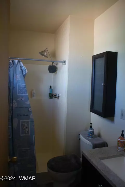 841 S 2nd E St, Snowflake, AZ 85937 photo 10