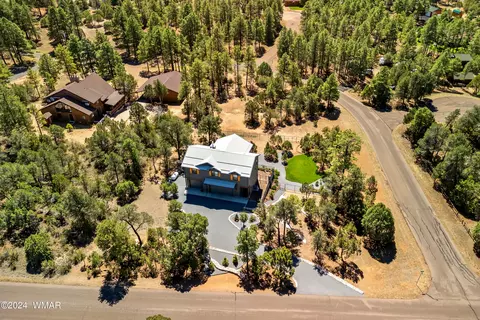 View/Area - 2209 Moccasin Dr, Overgaard, AZ 85933 photo 2 of 5