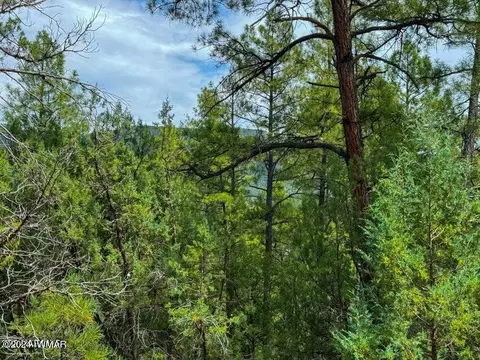 tbd Hillside Rd Lots 30 51, Pine, AZ 85544 photo 26
