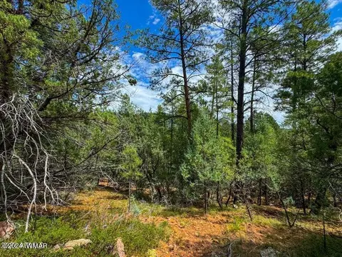tbd Hillside Rd Lots 30 51, Pine, AZ 85544 photo 24