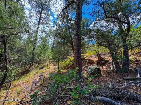 tbd Hillside Rd Lots 30 51, Pine, AZ 85544 photo 23