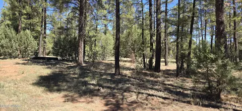 2242 Wapiti Cir, Overgaard, AZ 85933 photo 5