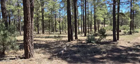 2242 Wapiti Cir, Overgaard, AZ 85933 photo 4