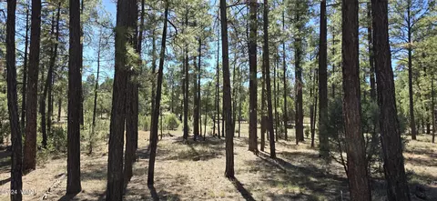 2242 Wapiti Cir, Overgaard, AZ 85933 photo 2