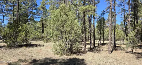 2242 Wapiti Cir, Overgaard, AZ 85933 photo 3