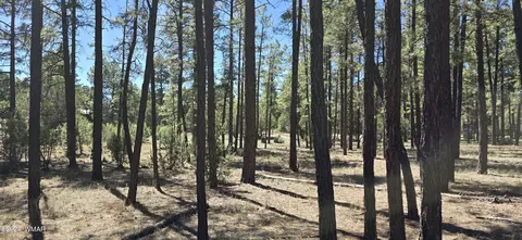 2242 Wapiti Cir, Overgaard, AZ 85933