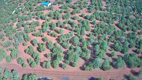 59 N 3131, Vernon, AZ 85940