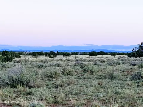 7538 Birch Ln, Snowflake, AZ 85937
