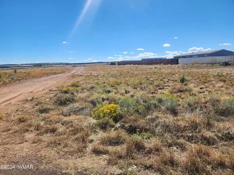 1125 W Mountain View Dr, Taylor, AZ 85939