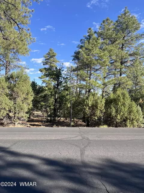 3950 W Hawthorn Rd, Show Low, AZ 85901