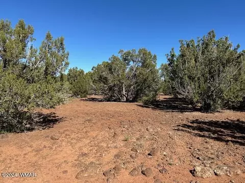14 County Rd, Concho, AZ 85924 photo 3