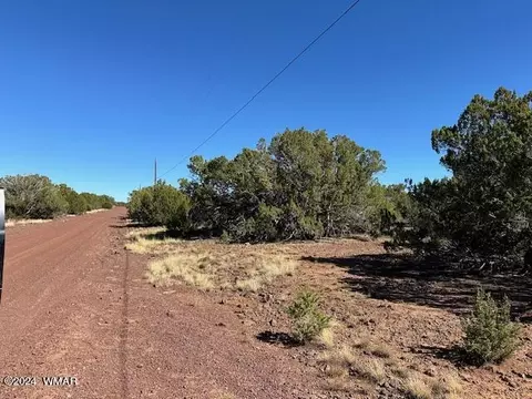 14 County Rd, Concho, AZ 85924 photo 12