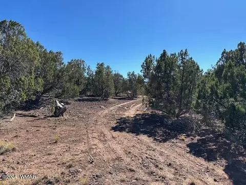 14 County Rd, Concho, AZ 85924 photo 9
