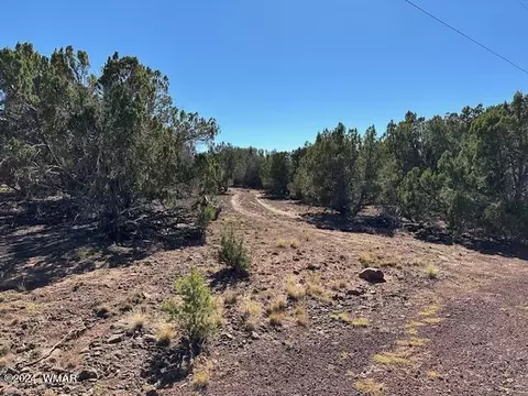 14 County Rd, Concho, AZ 85924