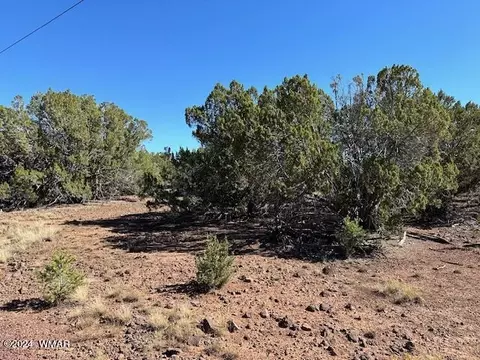14 County Rd, Concho, AZ 85924 photo 10