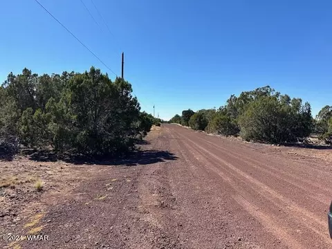 14 County Rd, Concho, AZ 85924 photo 11