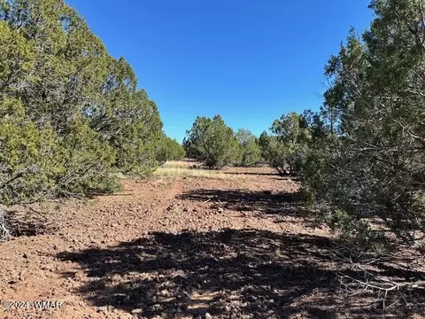 14 County Rd, Concho, AZ 85924 photo 8