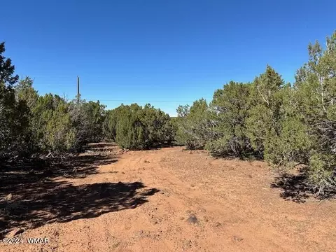 14 County Rd, Concho, AZ 85924 photo 6
