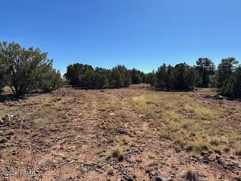 14 County Rd, Concho, AZ 85924 photo 5