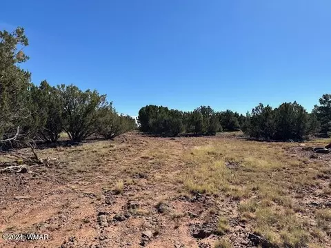 14 County Rd, Concho, AZ 85924 photo 4