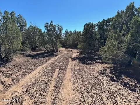14 County Rd, Concho, AZ 85924 photo 2