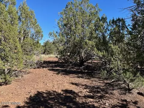 14 County Rd, Concho, AZ 85924 photo 7