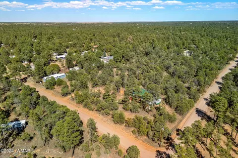 2849 Markham Rd, Overgaard, AZ 85933 photo 28