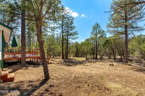 2849 Markham Rd, Overgaard, AZ 85933 photo 22