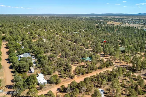 2849 Markham Rd, Overgaard, AZ 85933 photo 26