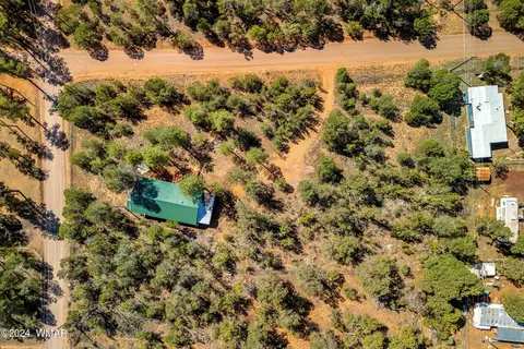 2849 Markham Rd, Overgaard, AZ 85933 photo 25