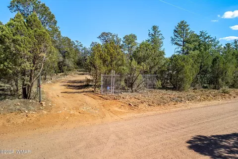 2849 Markham Rd, Overgaard, AZ 85933 photo 24