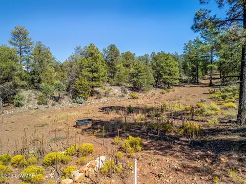 2306 Thunderbird Cir, Overgaard, AZ 85933 photo 15