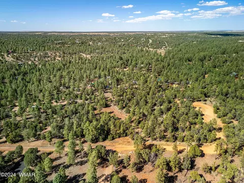 2306 Thunderbird Cir, Overgaard, AZ 85933 photo 4