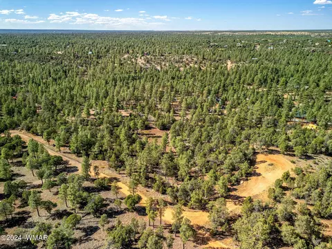 2306 Thunderbird Cir, Overgaard, AZ 85933