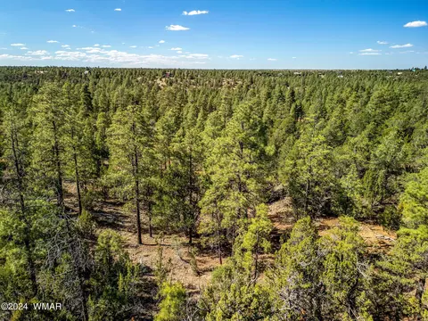 2306 Thunderbird Cir, Overgaard, AZ 85933 photo 11