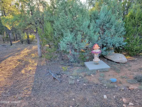 2306 Thunderbird Cir, Overgaard, AZ 85933 photo 16