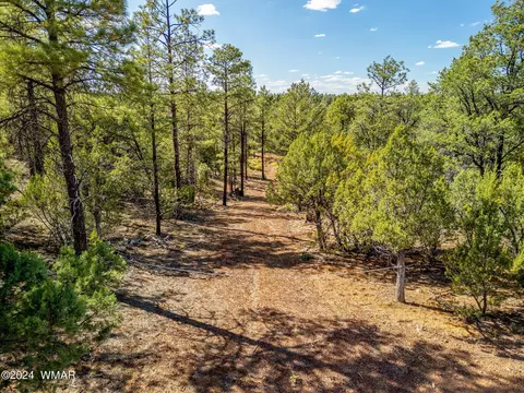 2306 Thunderbird Cir, Overgaard, AZ 85933 photo 12