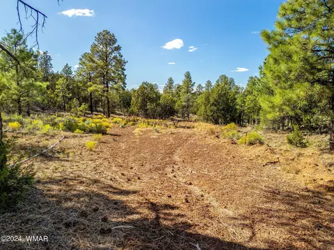 2306 Thunderbird Cir, Overgaard, AZ 85933 photo 13