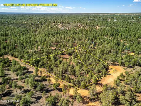 2306 Thunderbird Cir, Overgaard, AZ 85933 photo 2