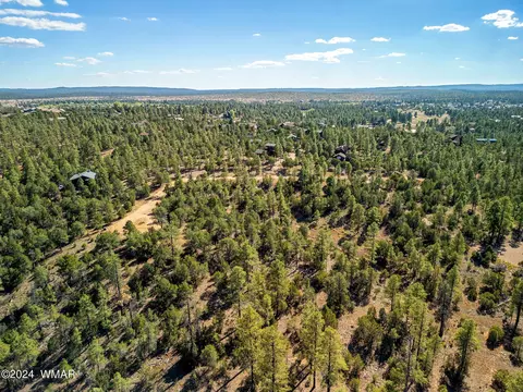 2306 Thunderbird Cir, Overgaard, AZ 85933 photo 8