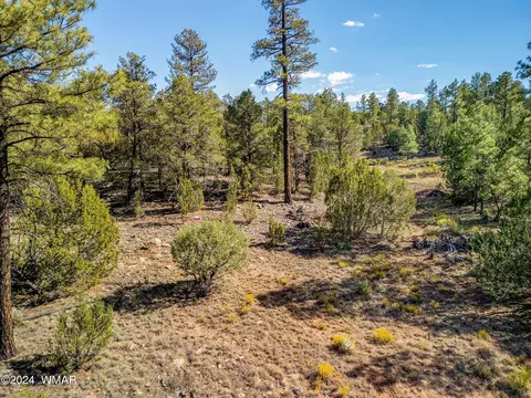 2306 Thunderbird Cir, Overgaard, AZ 85933 photo 14