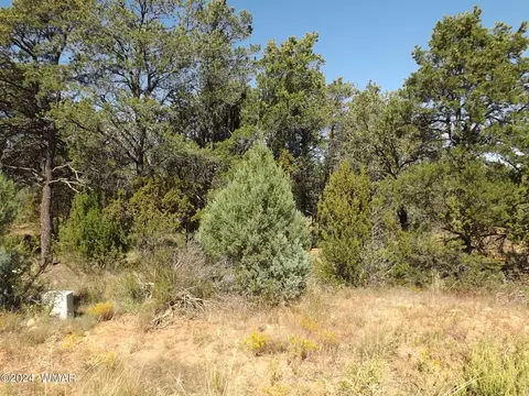 1554 Mainline Rd, Heber, AZ 85928